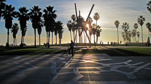 venice beach
